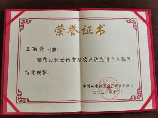 王丽静参政议政先进个人