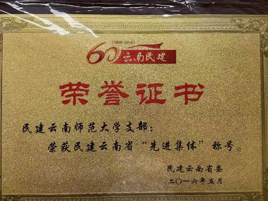 先进集体